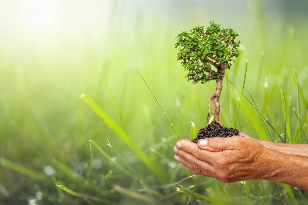 Benefits Of Recycling Conserves Natural Resources Hartleys Skip Hire